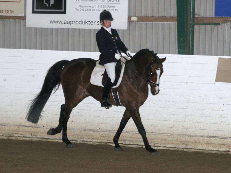 20080406_124822 Johanna DueBoje Don Corleone